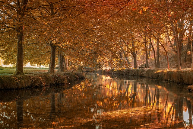 mesa de trabajo con calendario mensual, lista de tareas y una taza, ambiente calmado para planificar y revisar objetivos